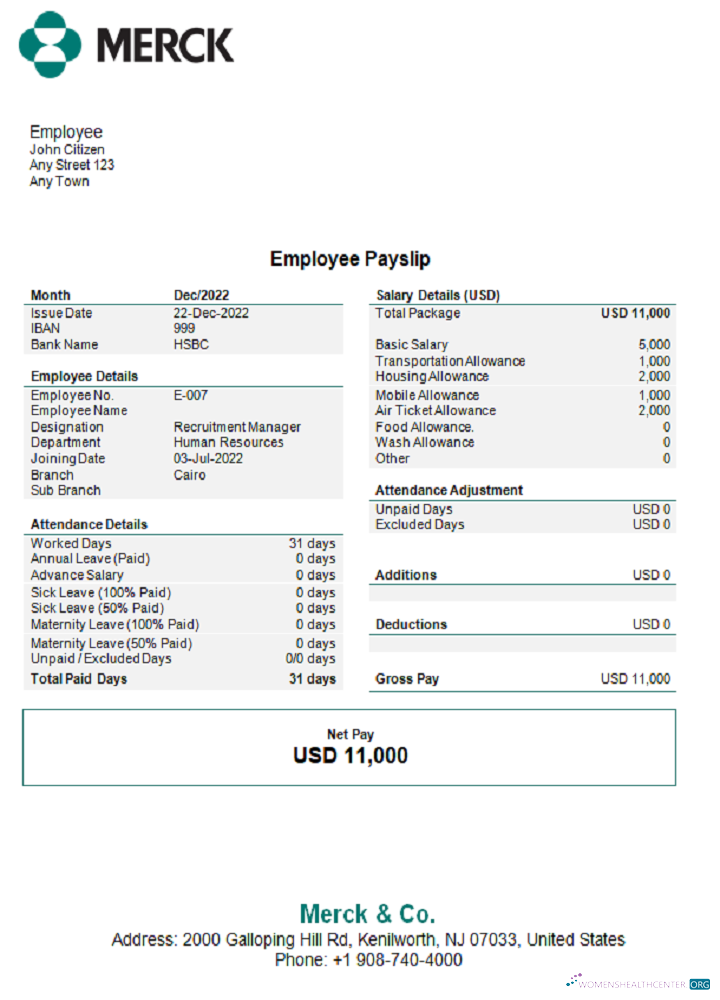 Download USA Merck & Co. pharmaceutical company pay stub Photoshop template